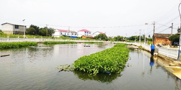 農(nóng)村生活污水處理項目的設計要點