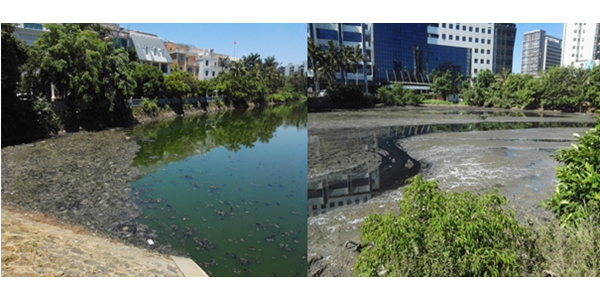 項(xiàng)目回顧：被央視點(diǎn)名的“臭水溝” 鴨尾溪如今怎么樣了