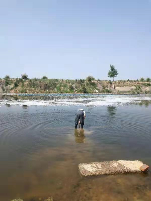 養(yǎng)殖廢水圖片3