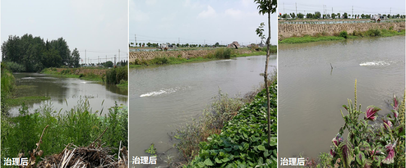 蝦塘養(yǎng)殖尾水處理02