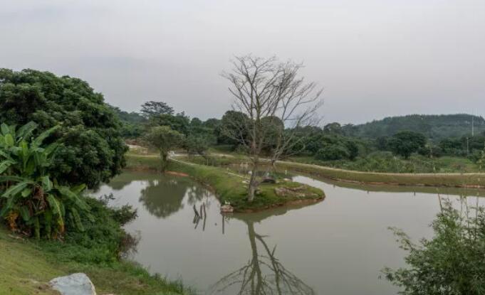 關(guān)于做好污染坑塘治理環(huán)保部下達(dá)的指導(dǎo)思想02