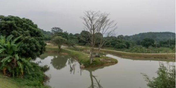 浙江省農(nóng)業(yè)農(nóng)村污染治理攻堅(jiān)戰(zhàn)行動(dòng)方案(2022—2025年)