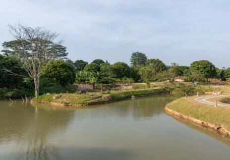 養(yǎng)殖場(chǎng)廢水怎樣治理才能達(dá)標(biāo)？01