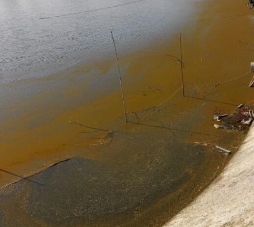 池塘水處理方案如何選才能養(yǎng)好魚蝦？08