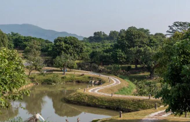 關(guān)于做好污染坑塘治理環(huán)保部下達(dá)的指導(dǎo)思想01