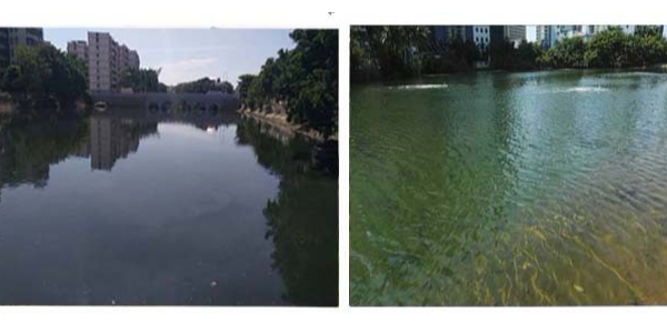 鴨尾溪：從曝光河到點(diǎn)贊河