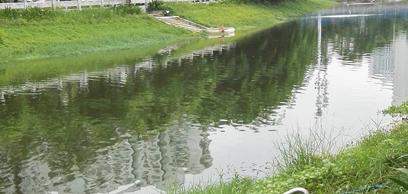 氧化還原電位如何影響微生物？