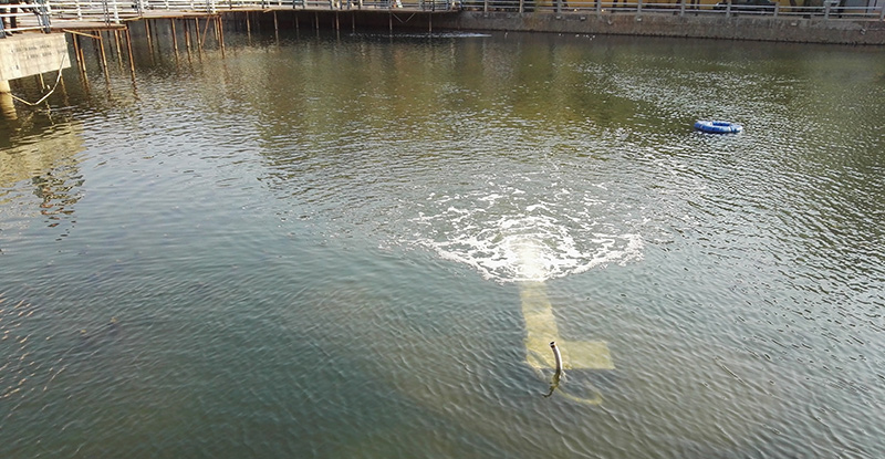 佳業(yè)佳境淺析：安徽加快城市黑臭水體治理 年底消除八成以上