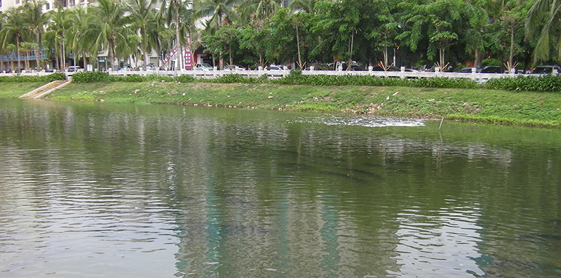 佳業(yè)佳境淺析：確保“長制久清” 至2020年江西將整治7個(gè)黑臭水體治理