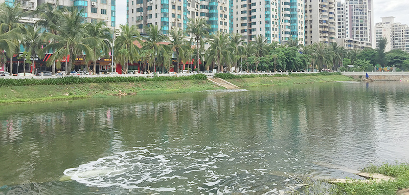 佳業(yè)佳境淺析：黑臭水體治理的基本思路研究