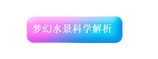 夢幻水景科學(xué)解析
