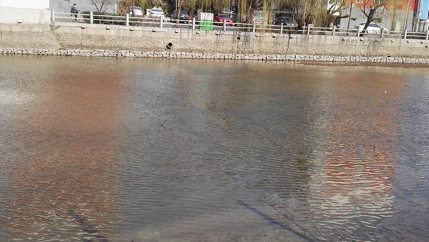 秦皇島大馬坊河原位生態(tài)修復(fù)工程-佳業(yè)佳境工程案例