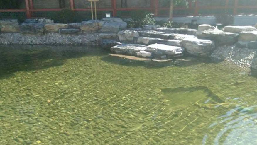 八一學(xué)校人工湖水處理-佳業(yè)佳境工程案例