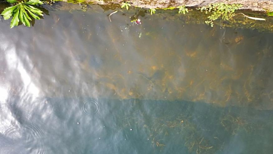 望城鎮(zhèn)三聯(lián)村曹家、毛家生活污水處理工程-佳業(yè)佳境工程案例