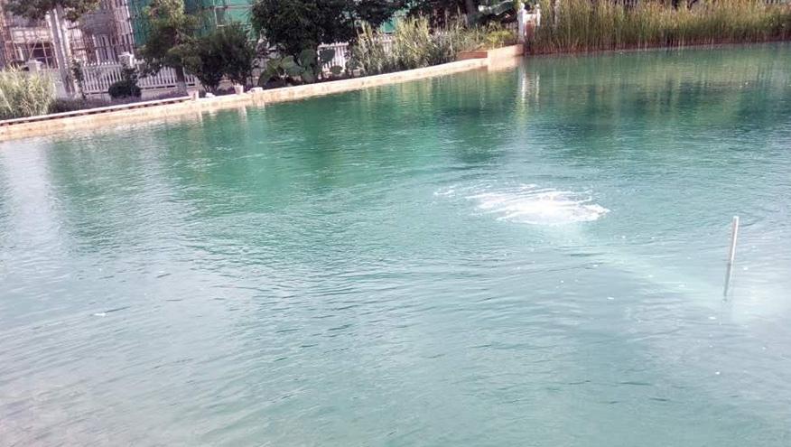 世外桃源小區(qū)景觀(guān)湖水質(zhì)提升工程-佳業(yè)佳境工程案例