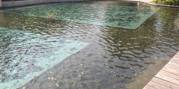 微生物生長的家—水處理生物膜載體