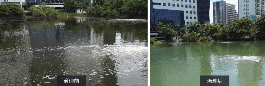 HDP工藝設(shè)備+應(yīng)急藥劑治理