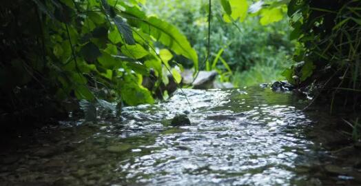 景觀水處理常見(jiàn)誤區(qū)有哪些