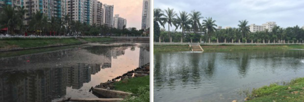 黑臭水體治理中曝氣設(shè)備效果是否都一樣呢？