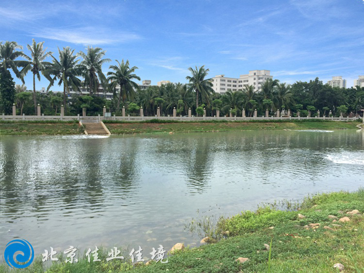 生物膜的微生物到底有哪些呢？