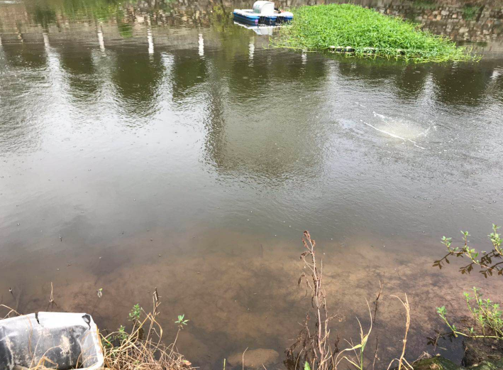 【經(jīng)典案例】江西省九江市永修縣農(nóng)行宿舍池塘生態(tài)修復(fù)試點(diǎn)工程