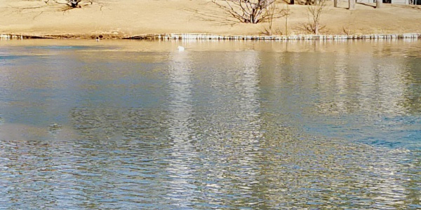 農村灰水收集-處理-回用系統(tǒng)現(xiàn)狀及應用建議