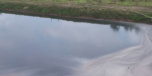 養(yǎng)殖廢水污染防治！佳業(yè)佳境養(yǎng)殖廢水處理提醒您