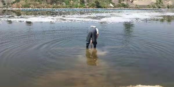 北京池塘水處理服務商為您分享如何減少養(yǎng)殖池塘中的黃泥水