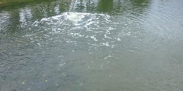 佳業(yè)佳境黑臭水體治理廠家告訴你黑臭水體是怎么來的