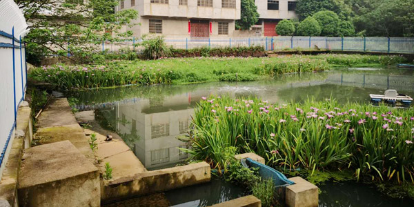 佳業(yè)佳境幫你解決農(nóng)村生活污水治理難題