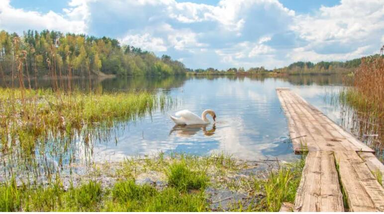 探究生態(tài)河道治理模式及評(píng)價(jià)01