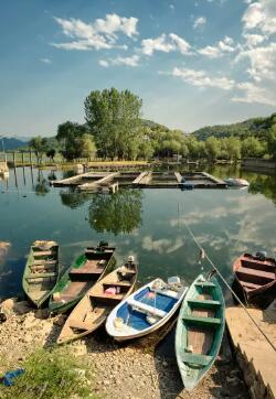 水生態(tài)環(huán)境治理及保護(hù)新要求02