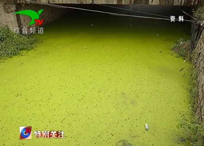 微信截圖_20210720103732