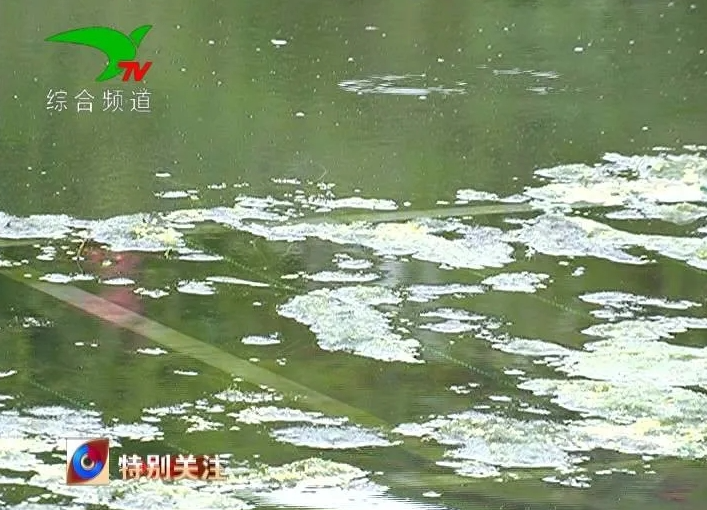 微信截圖_20210720104112