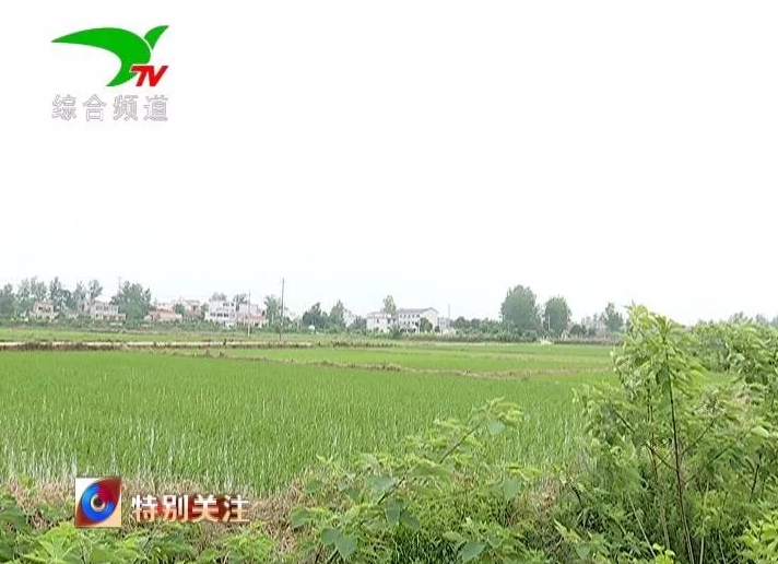 微信截圖_20210720104212