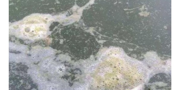 池塘水處理中關(guān)于泡沫的知識(shí)點(diǎn)，你知道多少？