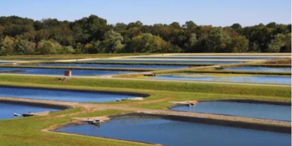 持續(xù)改善水生態(tài)質(zhì)量 打造美麗幸福河湖