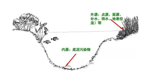 黑臭河道生態(tài)治理——水體生態(tài)系統(tǒng)重構(gòu)