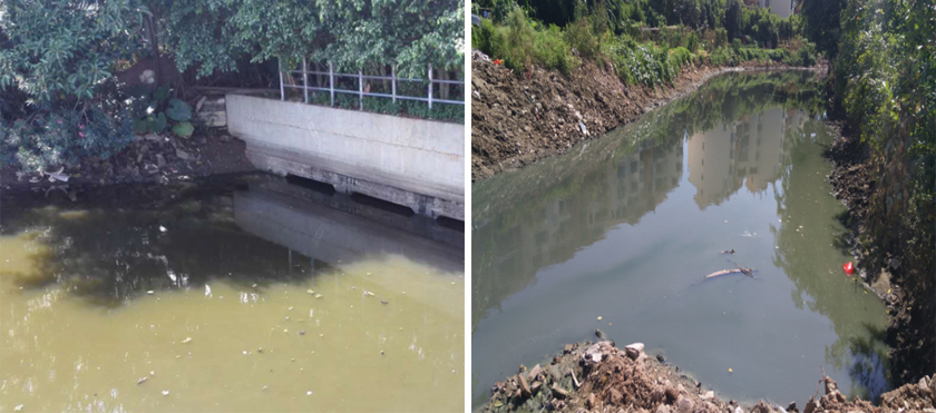 ?？邙單蚕诔羲w生態(tài)修復(fù)工程-佳業(yè)佳境工程案例