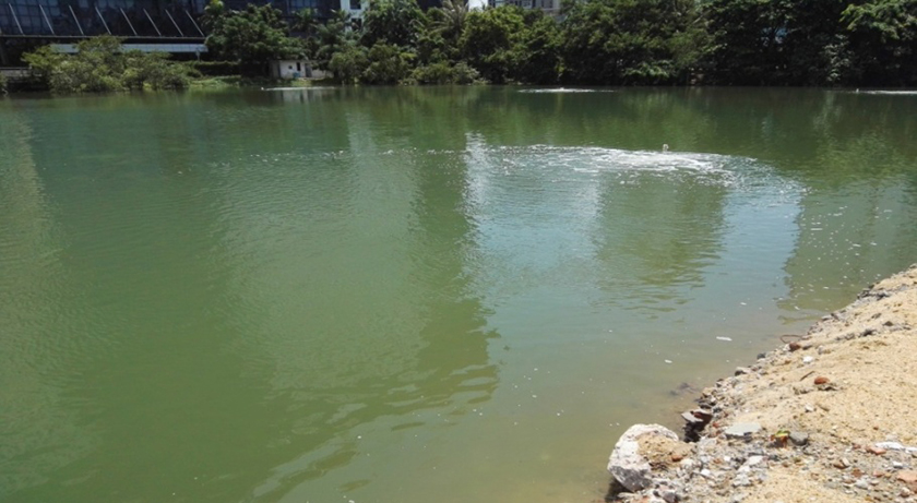 ?？邙單蚕诔羲w生態(tài)修復(fù)工程-佳業(yè)佳境工程案例