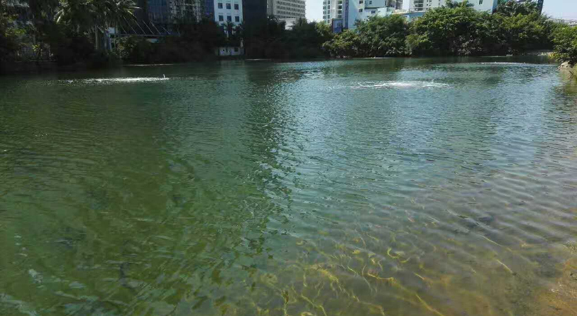 ?？邙單蚕诔羲w生態(tài)修復(fù)工程-佳業(yè)佳境工程案例