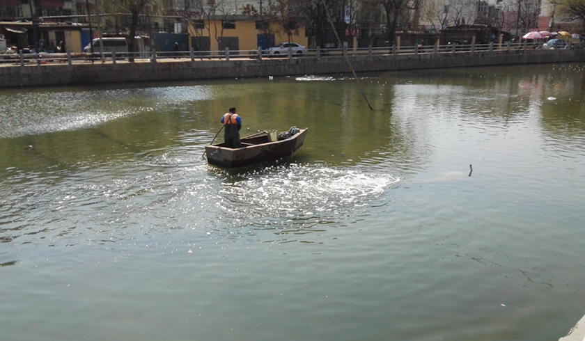 秦皇島大馬坊河原位生態(tài)修復工程-佳業(yè)佳境工程案例