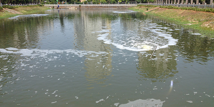 海口黑臭水體中試治理大比武-佳業(yè)佳境工程案例