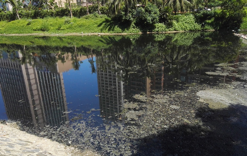 海口黑臭水體中試治理大比武-佳業(yè)佳境工程案例