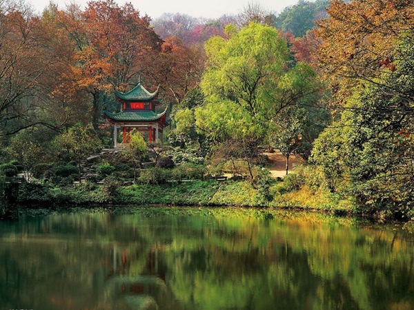 湖南愛晚亭景觀湖水質(zhì)提升工程-佳業(yè)佳境工程案例