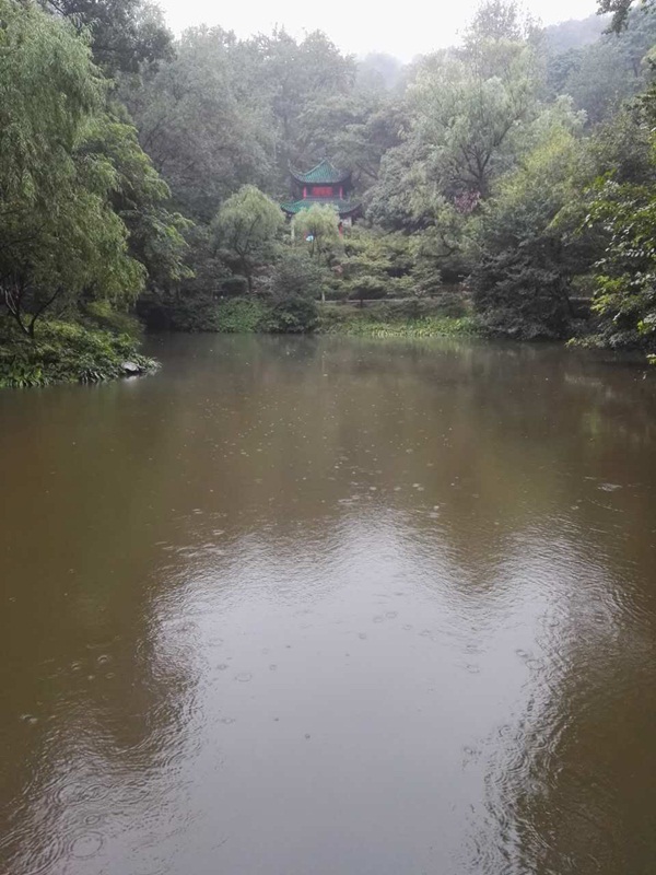 湖南愛晚亭景觀湖水質(zhì)提升工程-佳業(yè)佳境工程案例