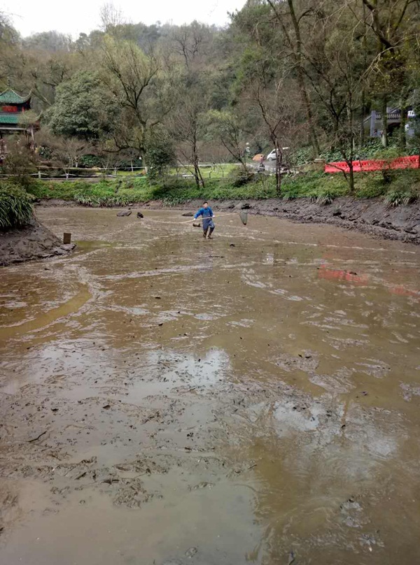 湖南愛晚亭景觀湖水質(zhì)提升工程-佳業(yè)佳境工程案例
