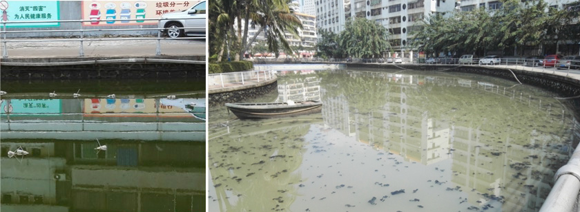 ?？诤诔羲w中試治理大比武-佳業(yè)佳境工程案例