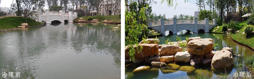 永定河孔雀城大湖水處理工程-佳業(yè)佳境工程案例