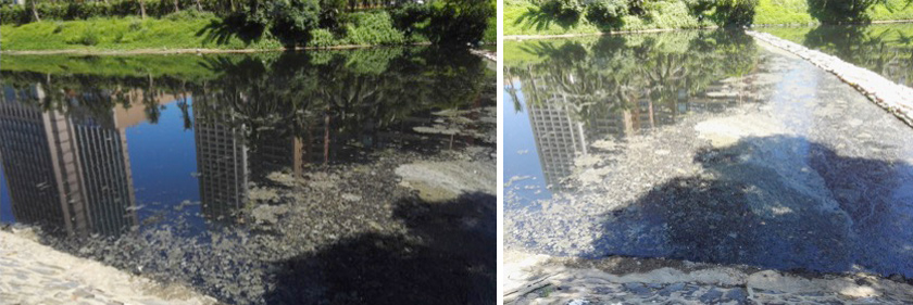 海口黑臭水體中試治理大比武-佳業(yè)佳境工程案例